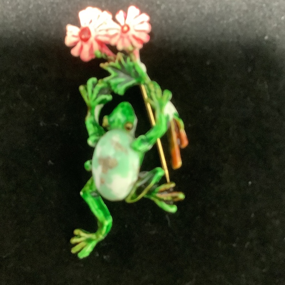 Green Frog Brooch with Pink Flowers